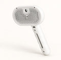 3-in-1 Mist & Groom Brush
