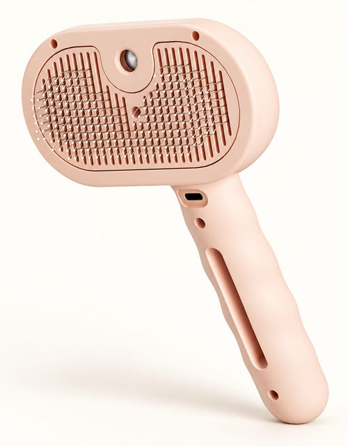 3-in-1 Mist & Groom Brush